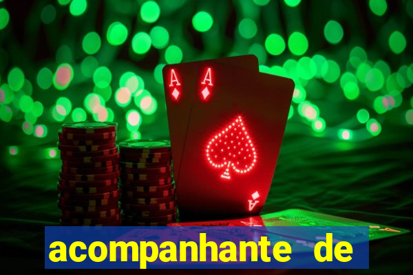 acompanhante de porto seguro